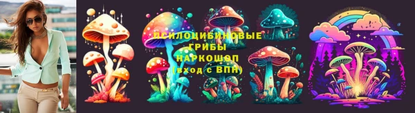 спайс Ельня