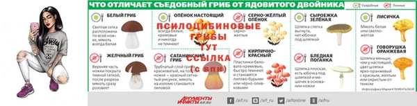 дживик Нязепетровск