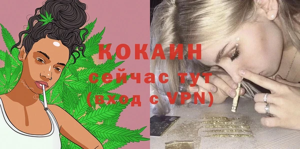 дживик Нязепетровск