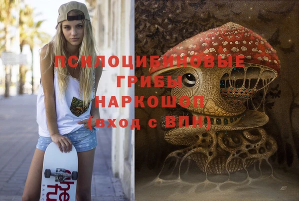 наркотики Новодвинск