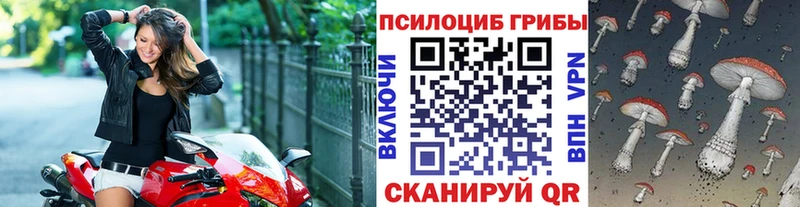 Галлюциногенные грибы Psilocybine cubensis  Магадан 